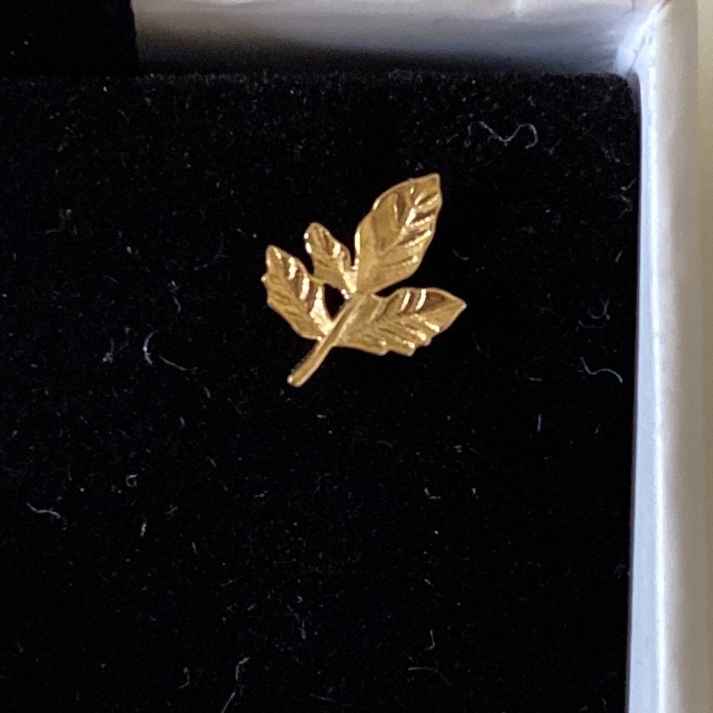 Pair Delicate Twig Leaf Earrings 9kt Solid Gold W… - image 4